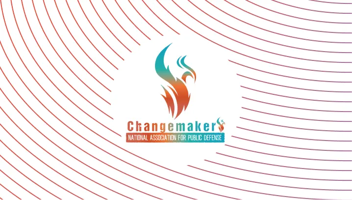 NAPD Changemakers 2024 - Ask, and ye shall receive