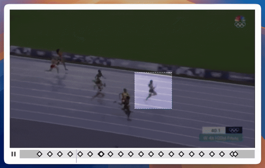 Screenshot of Reduct visual search tracking a person across video frames.