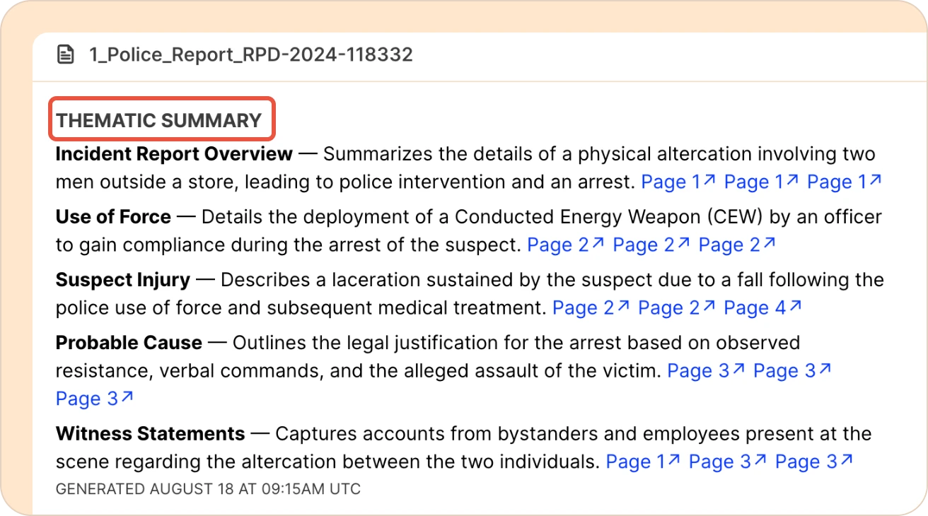 A summary of a police report grouped by topic