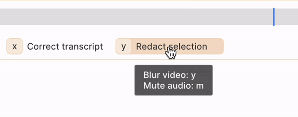 GIF showing Reduct's blur video and mute audio options